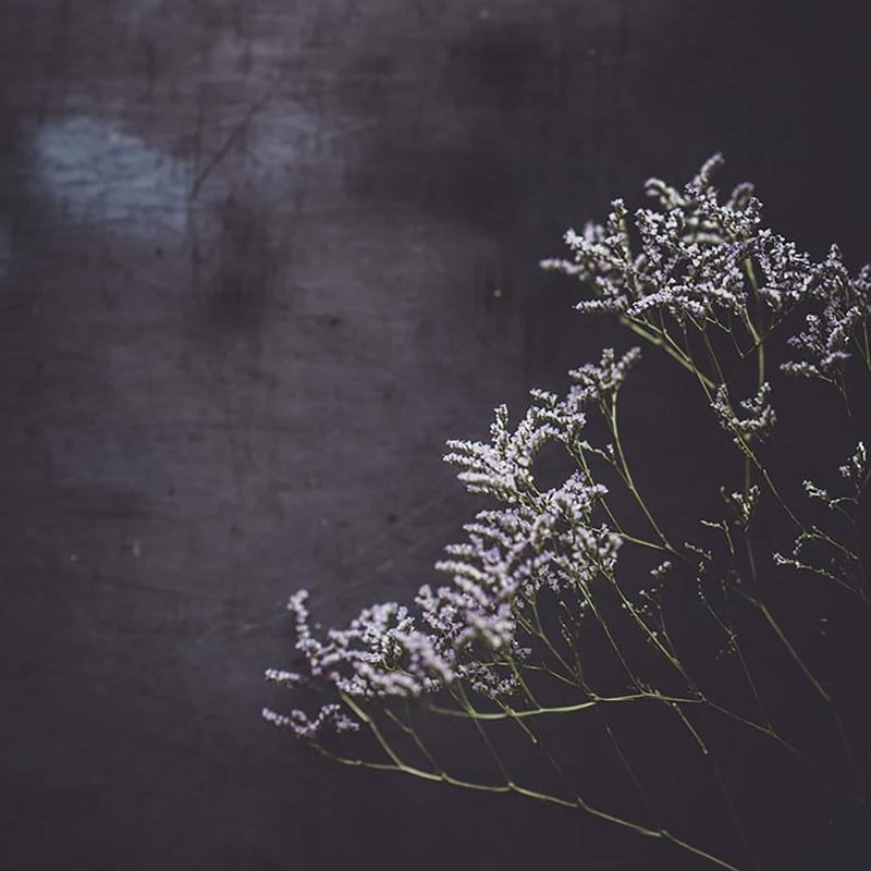 English Lavender