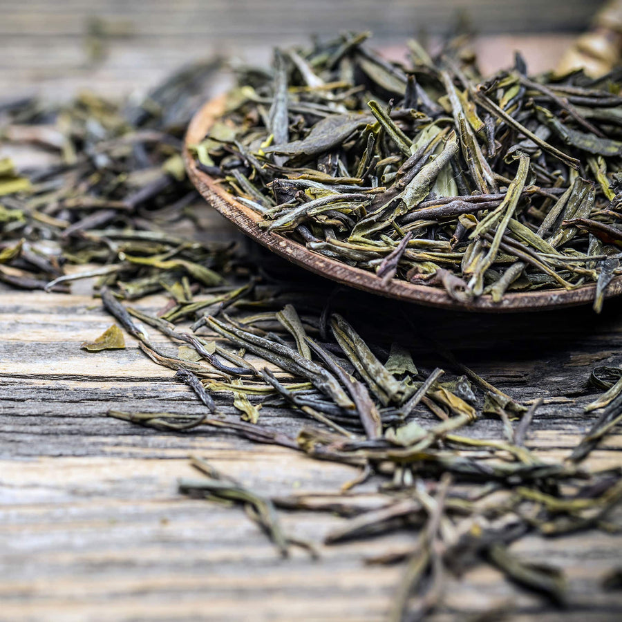 True Grace Wholesale EU