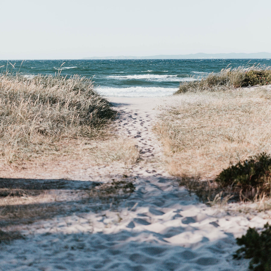 Fresh Scents | True Grace