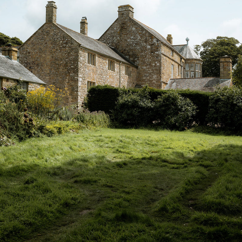 Lawn