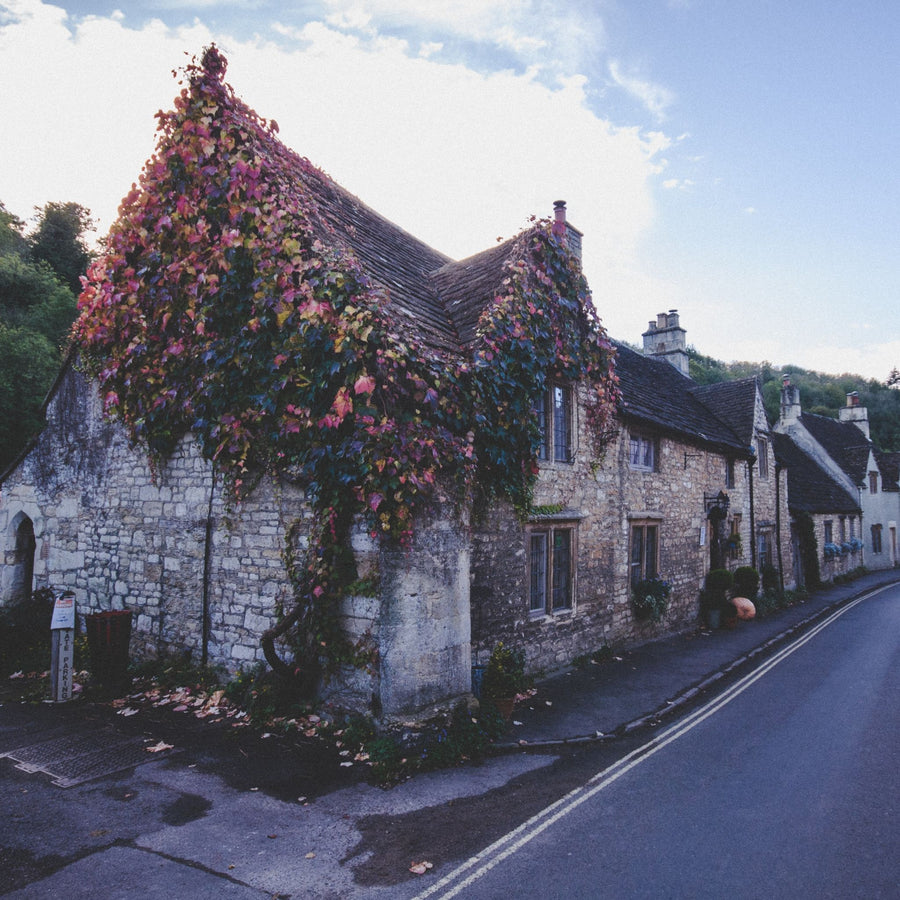 Village | True Grace